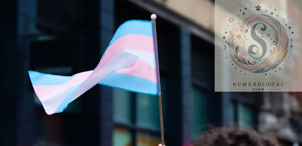 Ročna zastava ponosa transspolnih oseb na Bristol Trans Rights March